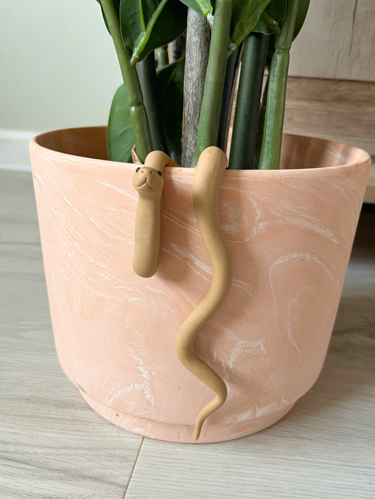 Hand Sculpted Polymer Clay Tan Snake Plant Pal