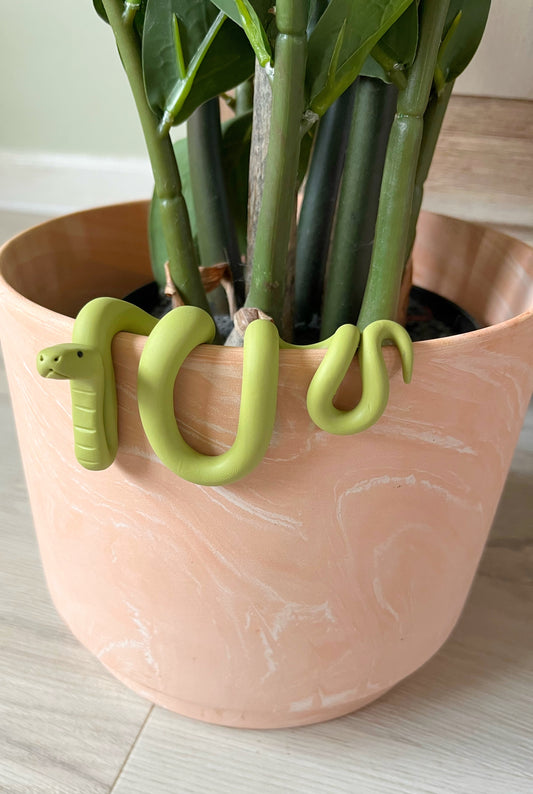 Hand Sculpted Polymer Clay Green Snake Plant Pal