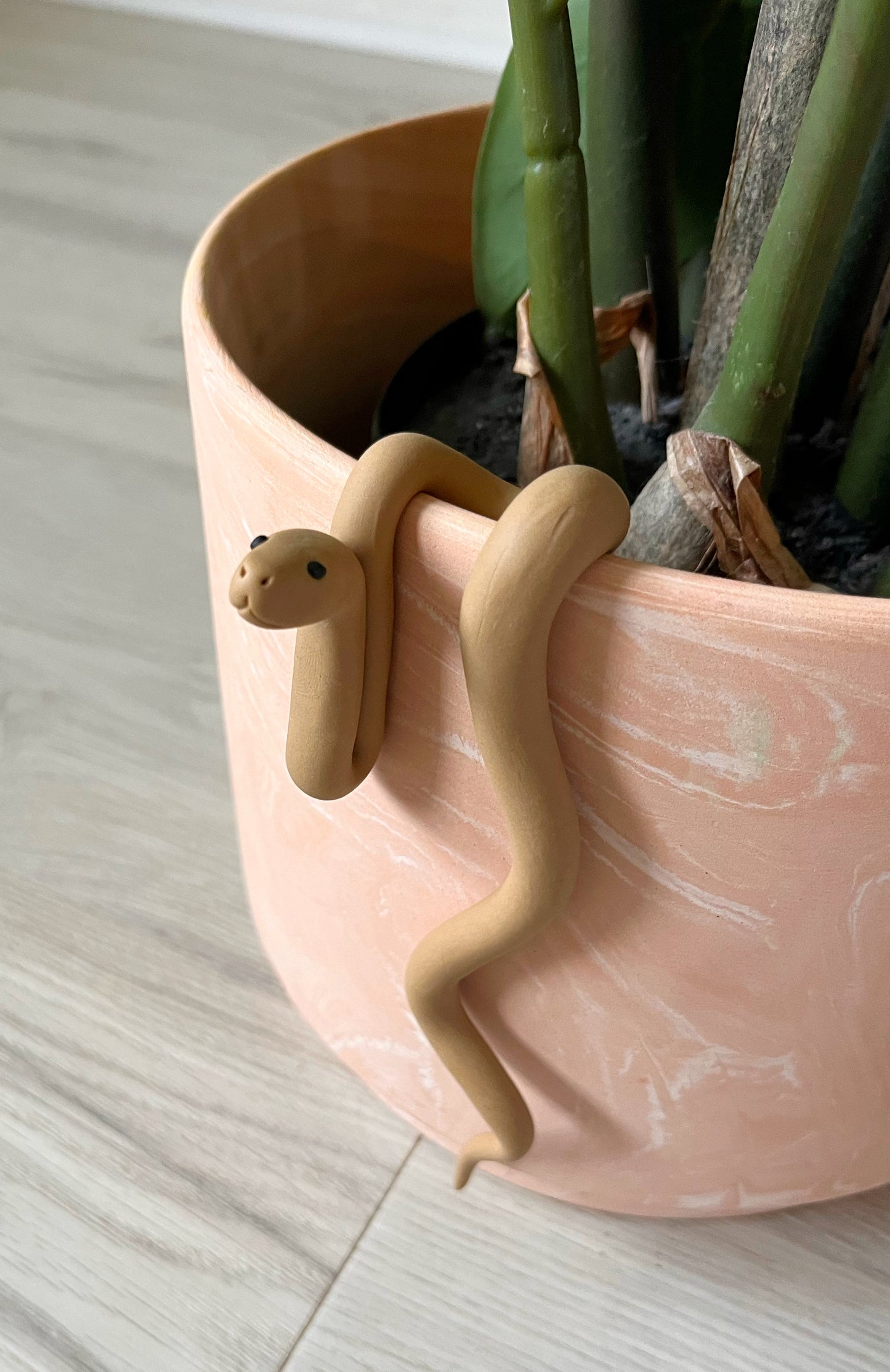 Hand Sculpted Polymer Clay Tan Snake Plant Pal